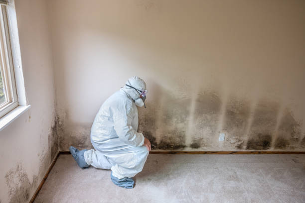 Best Crawl Space Mold Removal  in Camdenton, MO